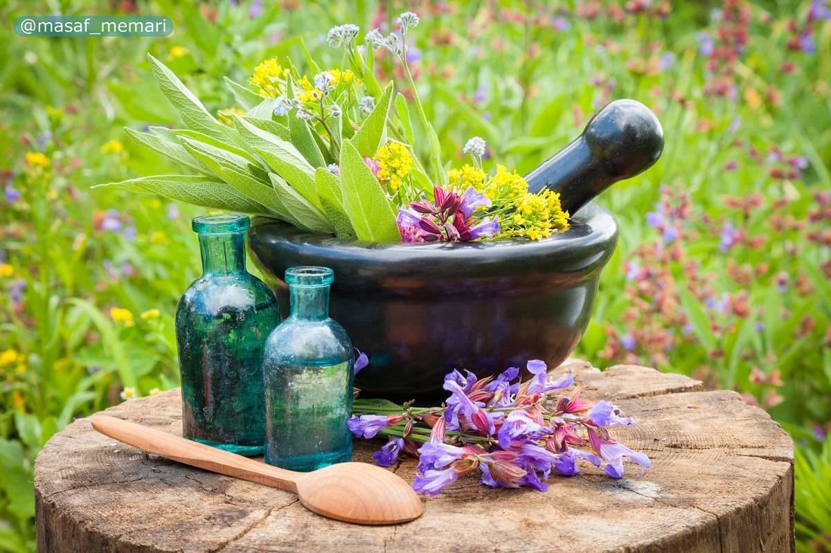 استفاده از گیاهان دارویی در طراحی فضای سبز شهری